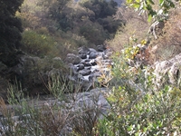 cantara gurne23122011 160